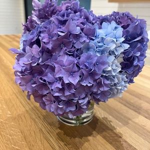 Meet your Posher, t!